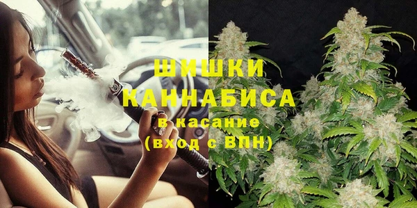 стаф Краснослободск