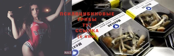 стаф Краснослободск