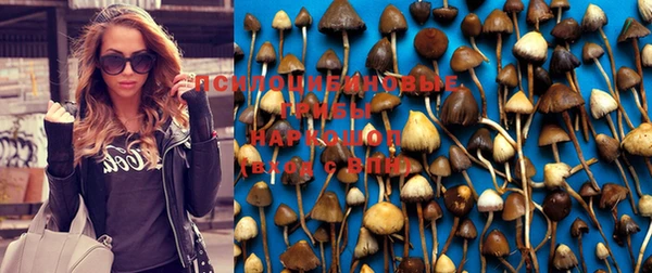 стаф Краснослободск