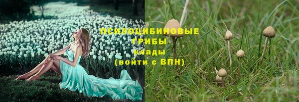 альфа пвп Куйбышев