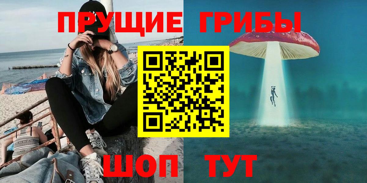 Псилоцибиновые грибы MAGIC MUSHROOMS  где найти наркотики  Абакан 