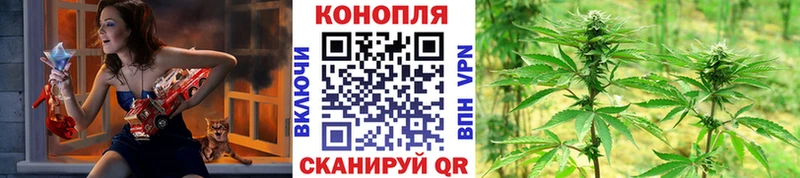 магазин продажи   KRAKEN сайт  Марихуана ГИДРОПОН  Абакан 
